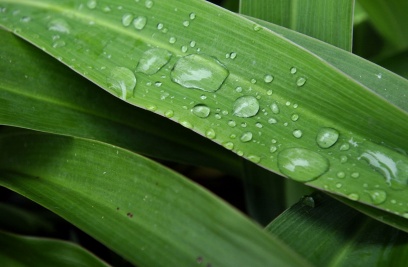 WATER: A LIVING FORCE