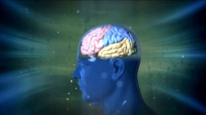 WHERE DOES OUR MEMORY GO?