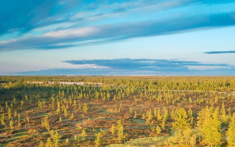 YAMAL NATURE RESERVE